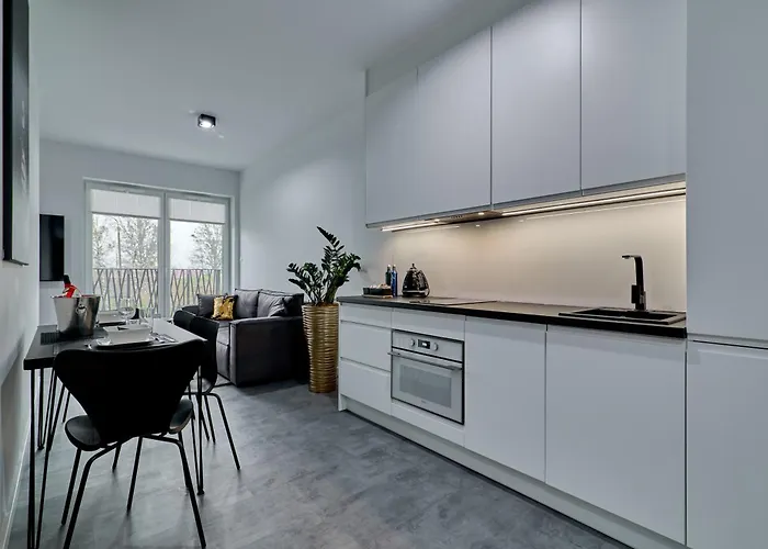 Sztuk Pieknych 4 Apartment *